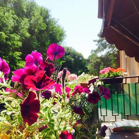 Bed & Breakfast Rosa 2*
