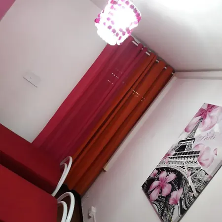 Rosa 2*
