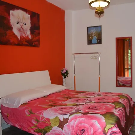 Rosa 2*