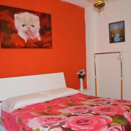 Bed & Breakfast Rosa Campalto